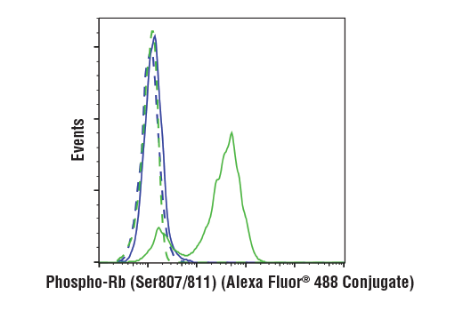 Flow Cytometry Image 1: Phospho-Rb (Ser807/811) (D20B12) Rabbit Monoclonal Antibody (Alexa Fluor<sup>®</sup> 488 Conjugate)