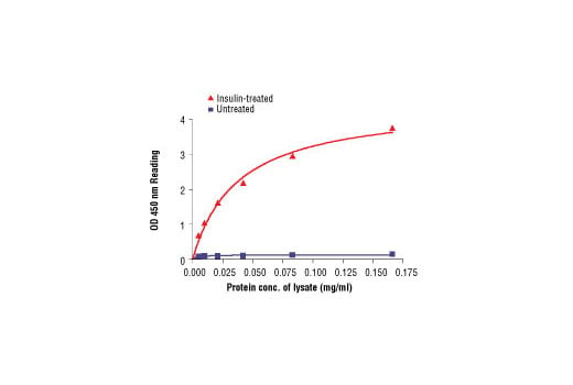 ELISA Image 2: PathScan<sup>®</sup> Phospho-Insulin Receptor β (Tyr1150/1151) Sandwich ELISA Kit