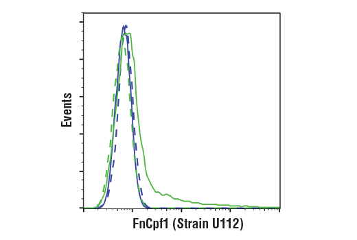 Flow Cytometry Image 1: FnCpf1/Cas12a (Strain <i>U112</i>) (E7I2B) Rabbit Monoclonal Antibody