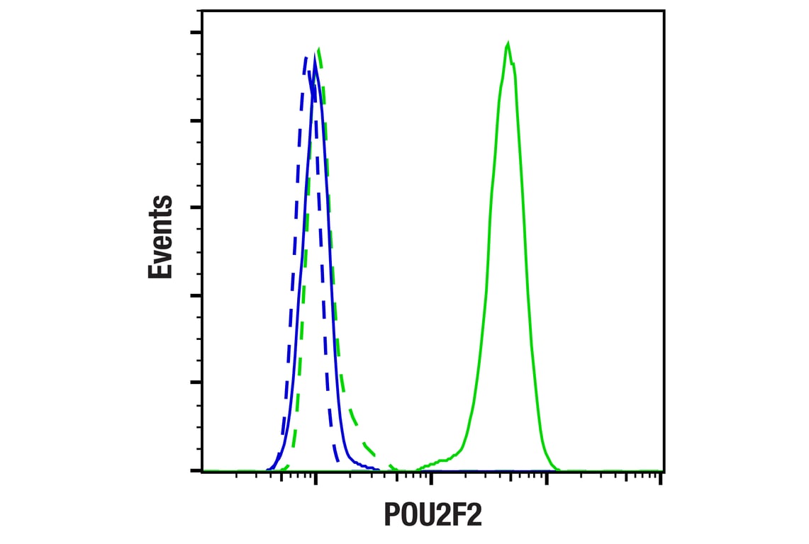 Flow Cytometry Image 2: POU2F2 (F3B7M) Rabbit Monoclonal Antibody (BSA and Azide Free)