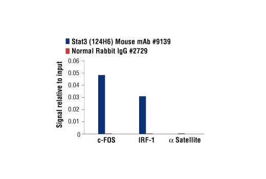 Chromatin Immunoprecipitation Image 1: Stat3 (124H6) Mouse Monoclonal Antibody