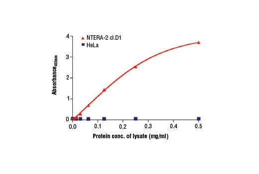 ELISA Image 2: PathScan<sup>®</sup> Total Sox2 Sandwich ELISA Kit