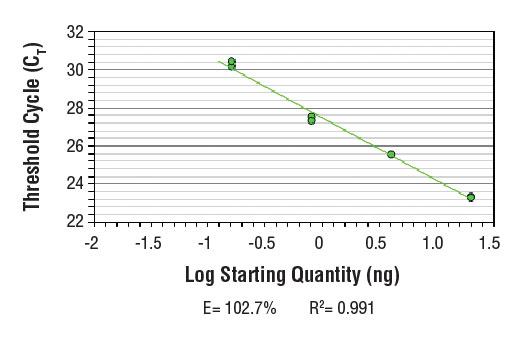 Chromatin Immunoprecipitation Image 2: SimpleChIP<sup>®</sup> Human CD11b Promoter Primers