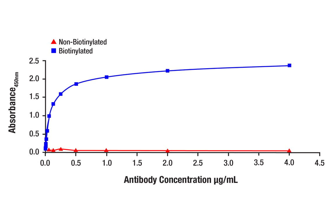 ELISA and/or ELISA-like Assays Image 1: Androgen Receptor (AR-V7 Specific) (E3O8L) Rabbit Monoclonal Antibody (Biotinylated)