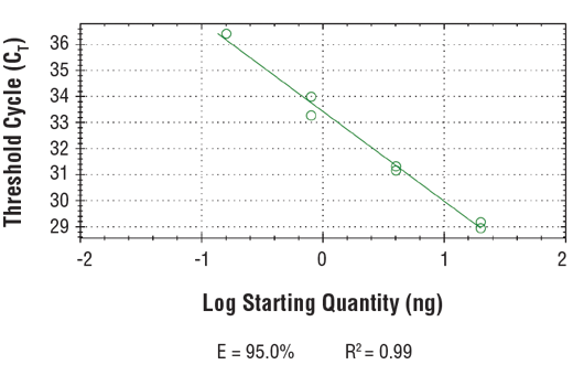 undefined Image 1: SimpleChIP<sup>®</sup> Human CXXC1 Exon 1 Primers