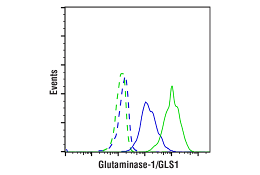 Flow Cytometry Image 1: Glutaminase-1/GLS1 (E4T9Q) Rabbit Monoclonal Antibody