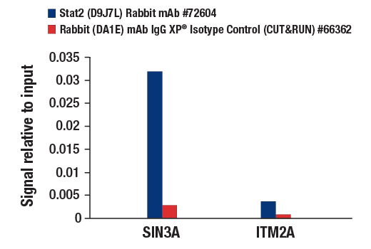 undefined Image 20: Stat Antibody Sampler Kit II