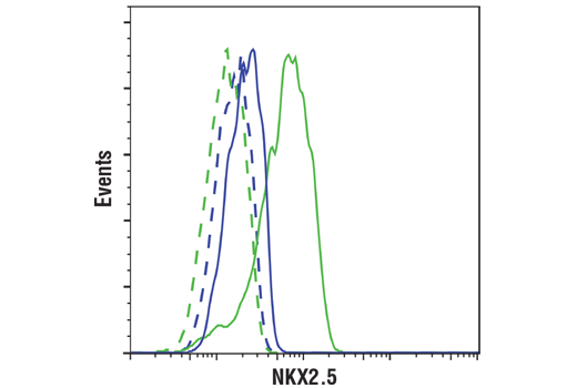 Flow Cytometry Image 1: NKX2.5 (E1Y8H) Rabbit Monoclonal Antibody