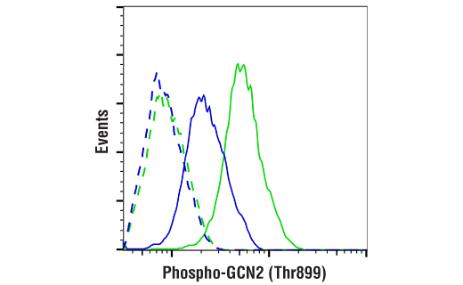 Flow Cytometry Image 1: Phospho-GCN2 (Thr899) (E1V9M) Rabbit Monoclonal Antibody
