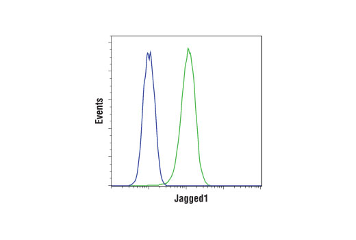 Flow Cytometry Image 1: Jagged1 (D4Y1R) Rabbit Monoclonal Antibody (BSA and Azide Free)