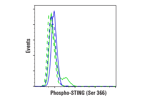 Phospho-STING (Ser366) (D8K6H) Rabbit mAb (BSA and Azide