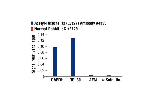 Chromatin Immunoprecipitation Image 1: Acetyl-Histone H3 (Lys27) Antibody