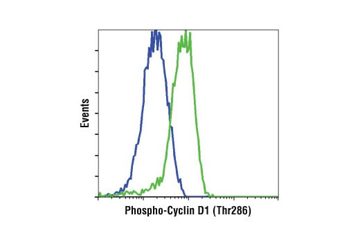 Flow Cytometry Image 1: Phospho-Cyclin D1 (Thr286) (D29B3) Rabbit Monoclonal Antibody (BSA and Azide Free)