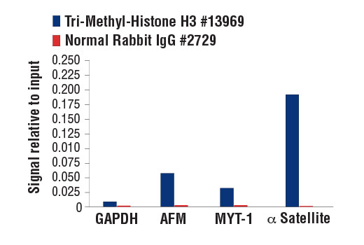 Chromatin Immunoprecipitation Image 1: Tri-Methyl-Histone H3 (Lys9) (D4W1U) Rabbit Monoclonal Antibody