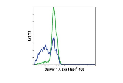 Flow Cytometry Image 1: Survivin (71G4B7) Rabbit Monoclonal Antibody (Alexa Fluor<sup>®</sup> 488 Conjugate)