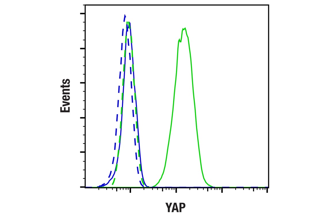 Flow Cytometry Image 1: YAP (D8H1X) Rabbit Monoclonal Antibody