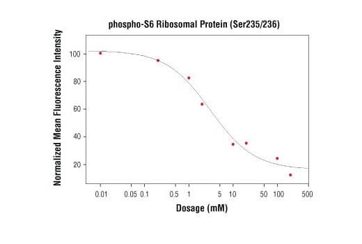 undefined Image 1: Anti-rabbit IgG (H+L), F(ab')<sub>2</sub> Fragment (Alexa Fluor<sup>®</sup> 555 Conjugate)