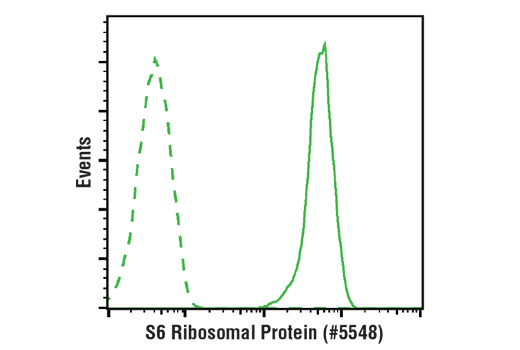 Flow Cytometry Image 1: S6 Ribosomal Protein (54D2) Mouse Monoclonal Antibody (Alexa Fluor<sup>®</sup> 647 Conjugate)