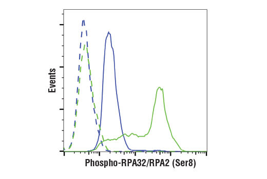 Flow Cytometry Image 1: Phospho-RPA32/RPA2 (Ser8) (E5A2F) Rabbit Monoclonal Antibody