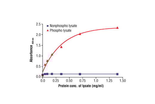 ELISA Image 2: PathScan<sup>®</sup> Phospho-DDR1 (panTyr) Sandwich ELISA Kit