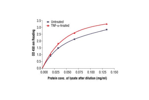 ELISA Image 2: PathScan<sup>®</sup> Total NF-kappaB p65 Sandwich ELISA Kit