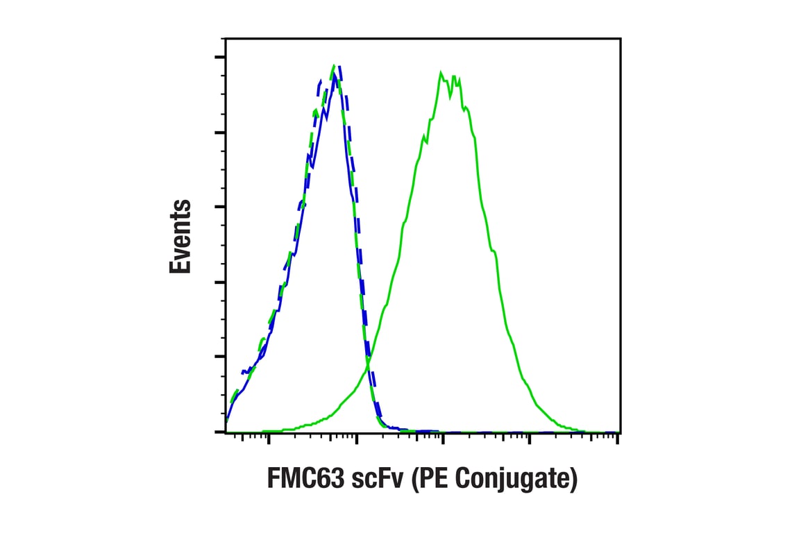FMC63 scFv (F2Q8G) Rabbit Monoclonal Antibody (PE Conjugate