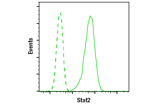 Flow Cytometry Image 1: Stat2 (D9J7L) Rabbit Monoclonal Antibody (BSA and Azide Free)