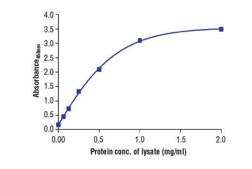 ELISA Image 2: PathScan<sup>®</sup> Total FGF Receptor 4 Sandwich ELISA Kit