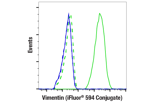 Flow cytometric analysis of fixed/permeabilized MCF7 cells (blue, negative) and HeLa cells (green, positive) using Vimentin (D21H3) XP® Rabbit mAb (iFluor® 594 Conjugate) (solid lines) or concentration-matched Rabbit (DA1E) mAb IgG XP® Isotype Control (iFluor® 594 Conjugate) #94999 (dashed lines).
