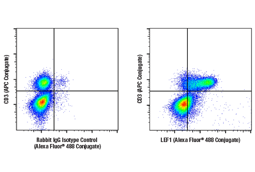 Flow Cytometry Image 2: LEF1 (C12A5) Rabbit Monoclonal Antibody (Alexa Fluor<sup>®</sup> 488 Conjugate)