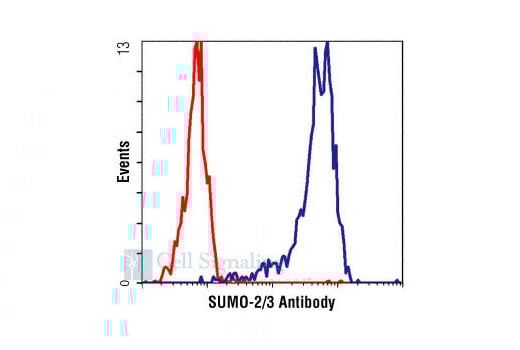 Flow Cytometry Image 1: SUMO-2/3 Antibody