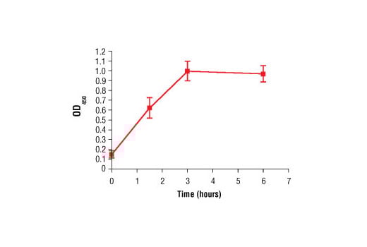 undefined Image 4: Human <sub>His6</sub>Fas Ligand/TNFSF6 (h<sub>His6</sub>FasL)