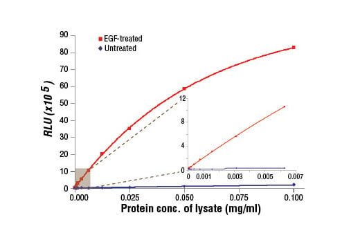 ELISA Image 1: PathScan<sup>®</sup> Phospho-EGF Receptor (Tyr1068) Chemiluminescent Sandwich ELISA Kit