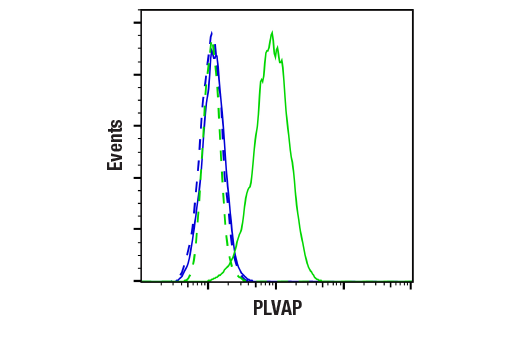 Flow Cytometry Image 1: PLVAP (E3X9D) Rabbit Monoclonal Antibody