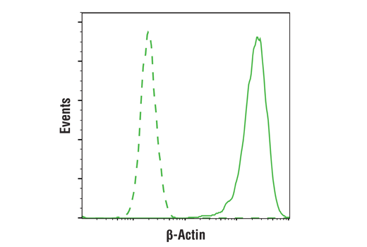 Flow Cytometry Image 1: beta-Actin (D6A8) Rabbit Monoclonal Antibody