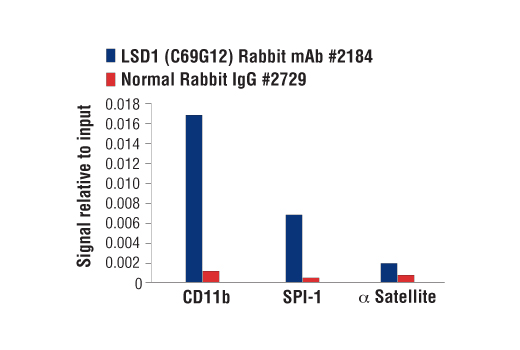 Chromatin Immunoprecipitation Image 1: LSD1 (C69G12) Rabbit Monoclonal Antibody