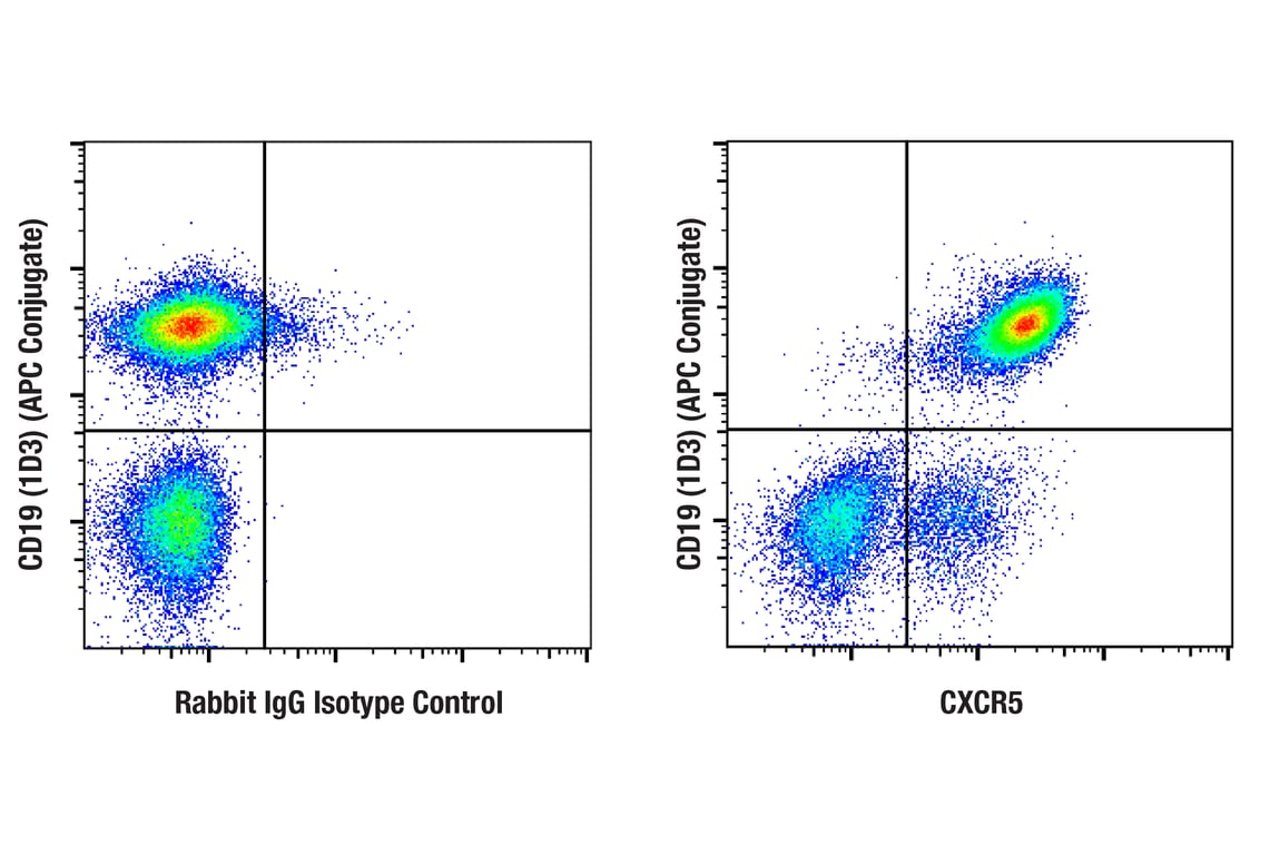 Flow Cytometry Image 1: CXCR5 (E3G3A) Rabbit mAb