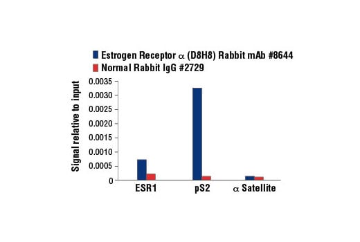 Chromatin Immunoprecipitation Image 3: Estrogen Receptor alpha (D8H8) Rabbit Monoclonal Antibody