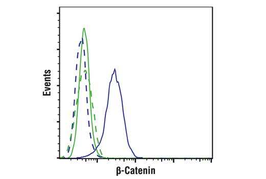 Flow Cytometry Image 1: beta-Catenin (D10A8) Rabbit Monoclonal Antibody (BSA and Azide Free)