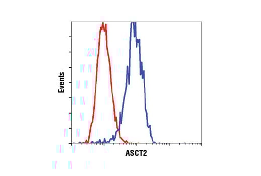 Flow Cytometry Image 1: ASCT2 (D7C12) Rabbit Monoclonal Antibody (BSA and Azide Free)