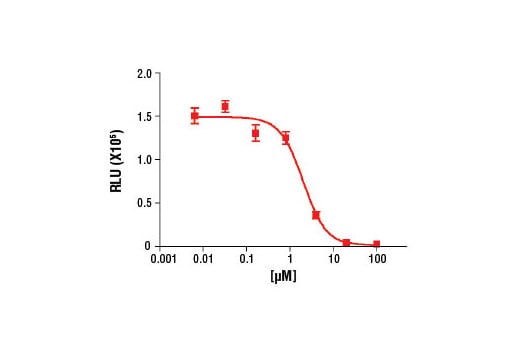 FUNC Image 3: BrdU Cell Proliferation Chemiluminescent Assay Kit