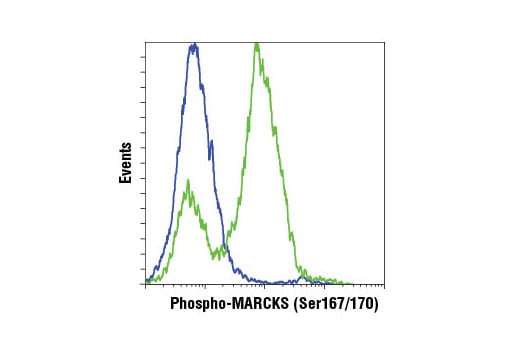 Flow Cytometry Image 1: Phospho-MARCKS (Ser167/170) (D13E4) Rabbit Monoclonal Antibody