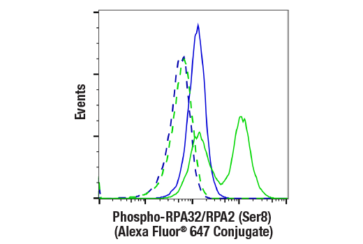 Flow Cytometry Image 1: Phospho-RPA32/RPA2 (Ser8) (E5A2F) Rabbit Monoclonal Antibody (Alexa Fluor<sup>®</sup> 647 Conjugate)