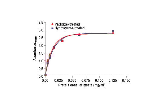 ELISA Image 2: PathScan<sup>®</sup> Total Vimentin Sandwich ELISA Kit