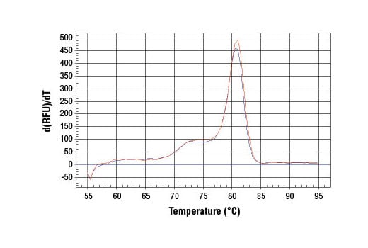 Chromatin Immunoprecipitation Image 1: SimpleChIP<sup>®</sup> Human c-Fos Exon 3 Primers