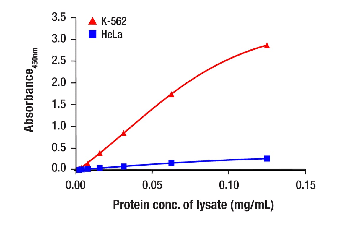 ELISA Image 2: CrkL (D4G7G) Rabbit mAb (BSA and Azide Free)