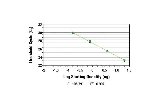 Chromatin Immunoprecipitation Image 2: SimpleChIP<sup>®</sup> Human IFN-gamma Promoter Primers
