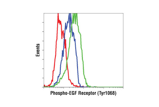 Flow Cytometry Image 1: Phospho-EGF Receptor (Tyr1068) (D7A5) Rabbit Monoclonal Antibody (BSA and Azide Free)