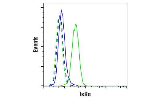 undefined Image 11: PhosphoPlus<sup>®</sup> IkappaB alpha (Ser32/Ser36) Antibody Duet