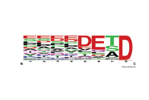 PTMScan Image 1: PTMScan<sup>®</sup> Cleaved Caspase Substrate Motif [DE(T/S/A)D] Kit